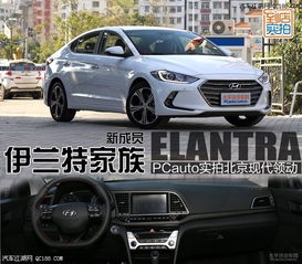 郑州朗动最新报价动态及分析观点阐述（2025年11月20日）