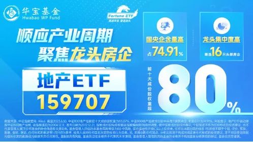 2025香港正版资料免费大全精准,积极解答解释落实_限量版DRC6.32