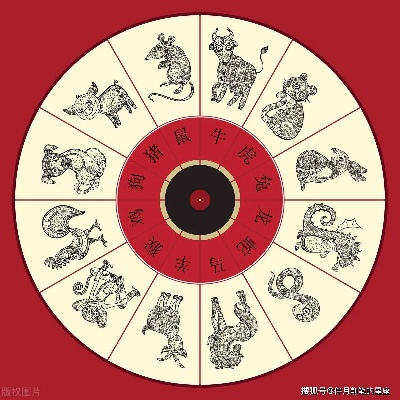 2025年12生肖49码图,即时解答解析分析_更换版HUI6.78