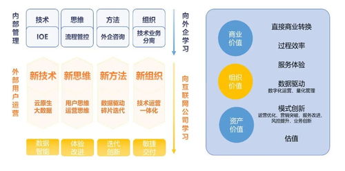 新澳2025年正版资料,数据引导执行策略_业界版EHG5.78