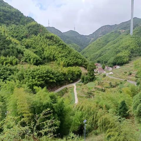 磐安十一月自然秘境探索，寻找心中的宁静桃花源最新报道
