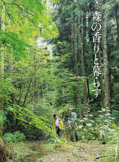 心灵之旅，逃离喧嚣，探寻日本自然美景的呼唤（2025年）