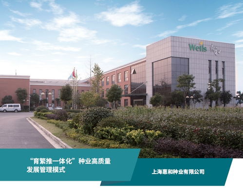jinshiweikai 第10页