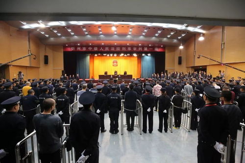 2025年11月22日涉黑案件最新进展与各方观点聚焦