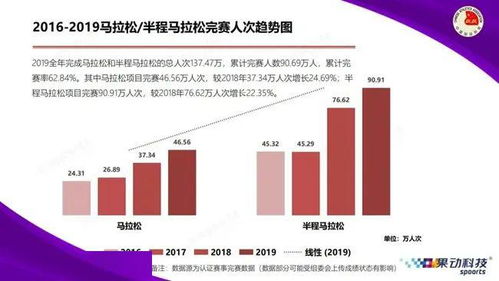 2025年新澳门今晚开奖结果,数据详解说明_体现版MVH13.33
