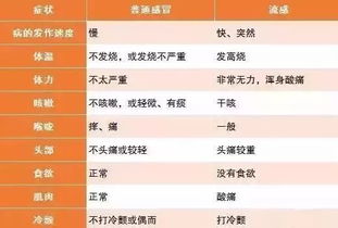2025新澳历史开奖记录查询,专家权威解答_速达版TVU13.35