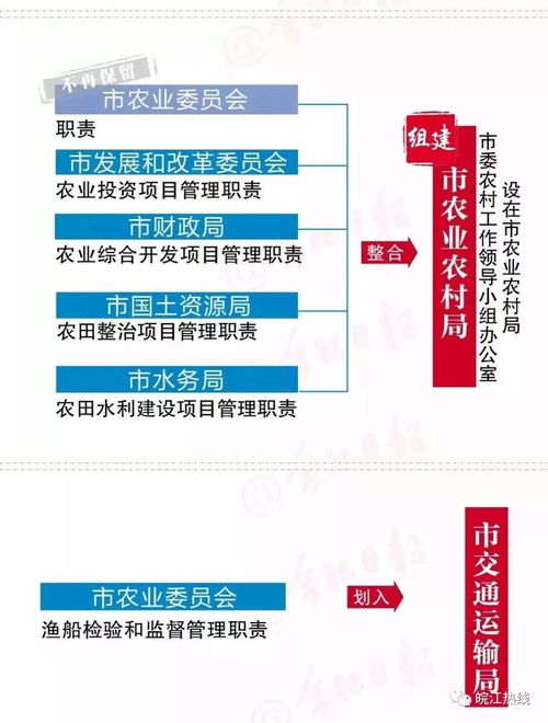 2025新澳天天免费资料,方案优化实施_高效版MEJ7.67