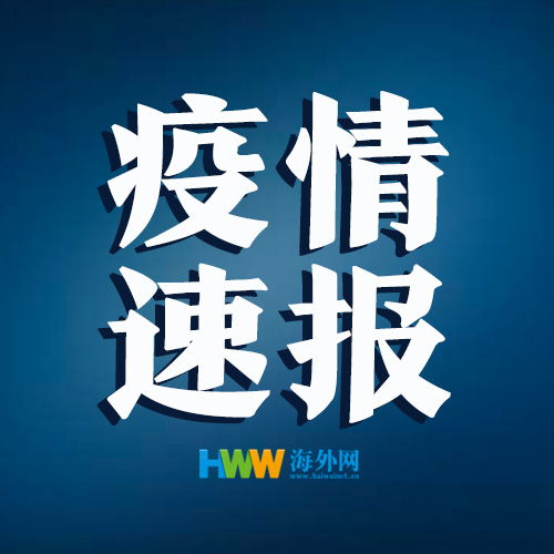 历史上的11月25日埃及新冠肺炎热门动态，历史上的11月25日埃及小巷深处的抗疫故事与一家隐藏的特色小店
