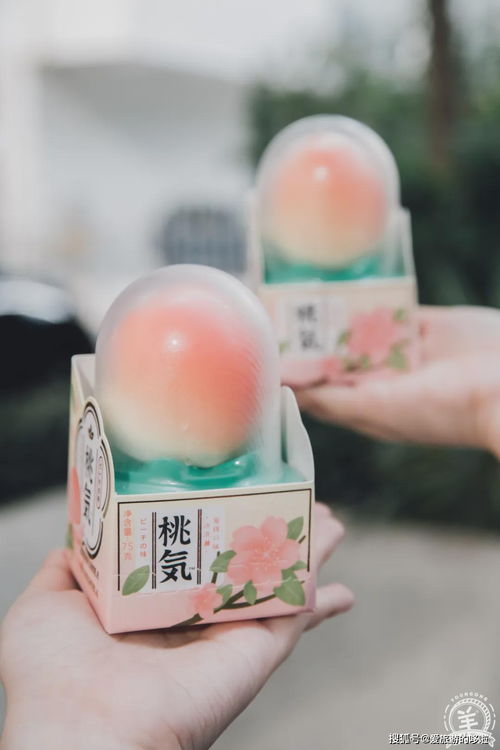 fanpuguizhen 第7页