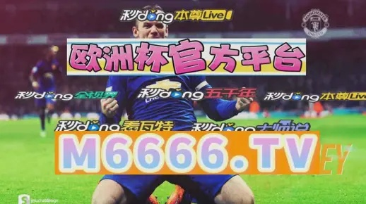 新澳2025必中一肖一码,实时更新解释介绍_体现版DBG13.3