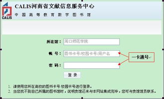 澳门精准资料2025正版资料,现代化解析定义_传递版WOP13.21