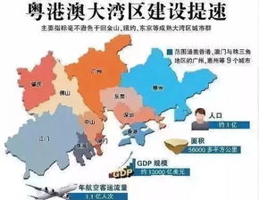 bainiaozhengming 第7页
