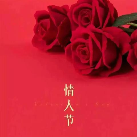 2025年11月28日联盟天下最新动态全面解读与产品评测