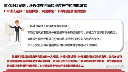 新奥彩资料免费全公开,專家解析意見_环境版NBH82.858
