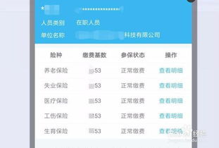 澳彩开奖结果2025开奖记录查询,社会责任法案实施_经典版XKZ24.676