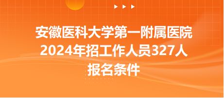 2025年11月28日洋浦招聘网最新招聘趋势展望与行业洞察