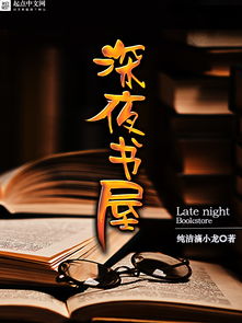 深夜书屋，探寻文化星光下的秘密——2025年11月28日之夜