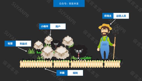 2025今晚开特马开奖,互动性策略设计_UKU59.866并行版