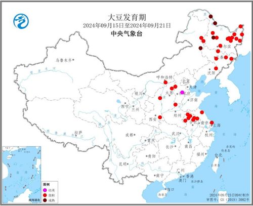 四川广安化龙热门规划指南，从初学者到进阶用户的实施步骤详解（2025年）