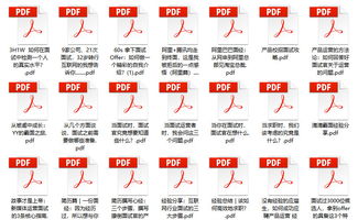 2025新奥正版免费下载,全面设计解析策略_入门版31.855-5