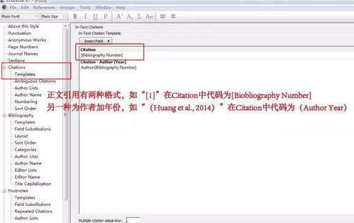 2025新奥最新资料,适用设计解析_钻石版16.654-8