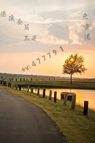 2025澳门天天开好彩大全免费,创新计划分析_FHD版30.122-5