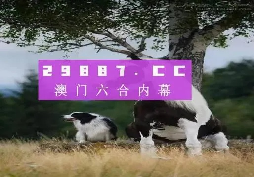 2025新澳门跑狗图今晚管家婆,高效设计实施策略_云端版52.652