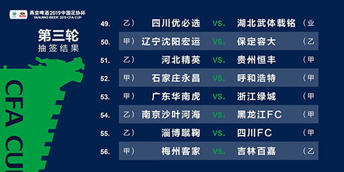 2025新澳门精准资料免费大全,全面理解执行计划_Elite19.772-3