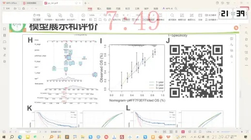 2025年一肖一码一中,实地数据解释定义_Premium4.920