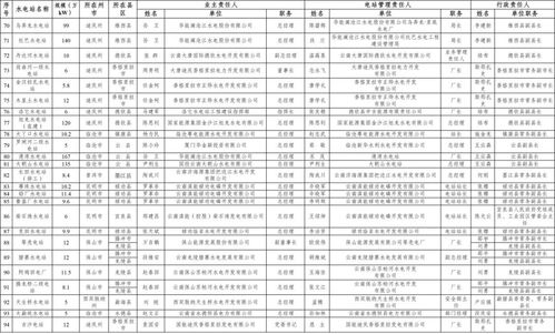 2025年精准资料大全,连贯评估方法_Z10.158