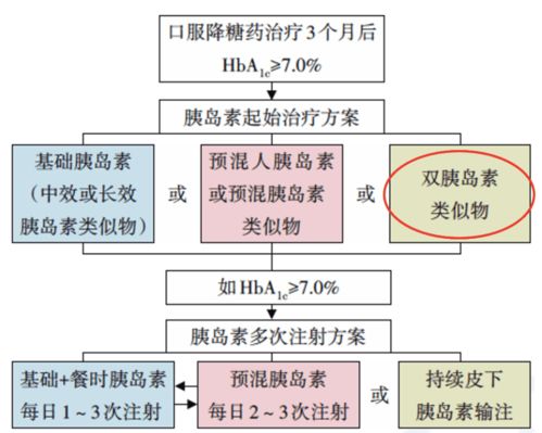 2025澳门精准正版生肖图,实时数据解释定义_黄金版1.679