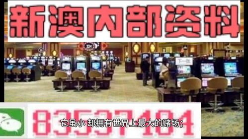 2025新澳门精准资料免费,实地执行考察方案_Executive16.916