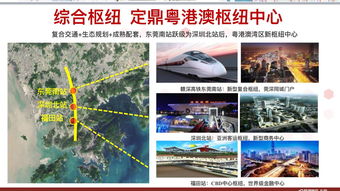 老澳门开奖结果2025开奖记录,实地分析数据应用_桌面款8.349