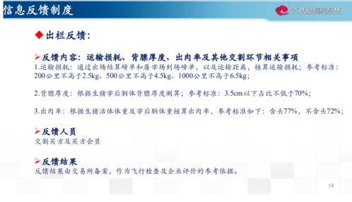 shanshishanzhong 第4页