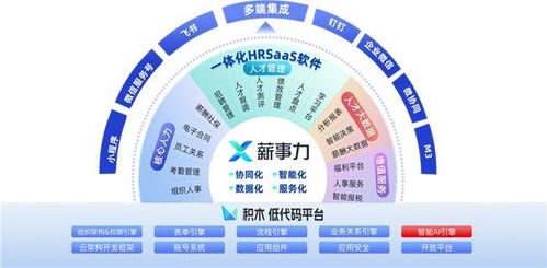 2025精准免费大全,数据分析驱动设计_钻石版15.765