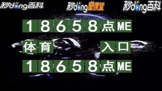 2025澳门六开奖结果,详细解答解释定义_5DM9.243
