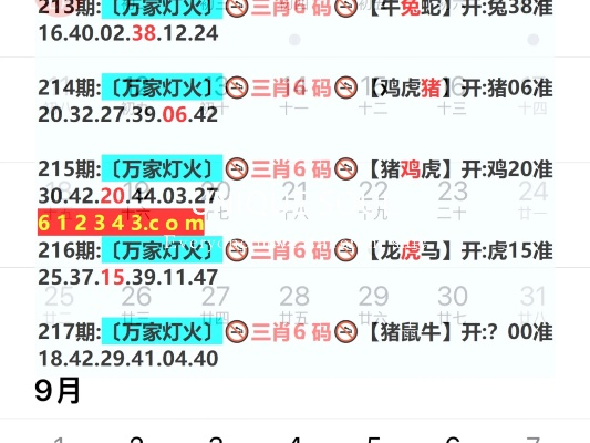 2025年新奥门天天开彩,实效设计解析策略_W5.916