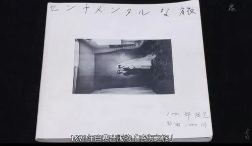 bizourufei 第3页