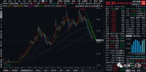粗枝大叶 第2页