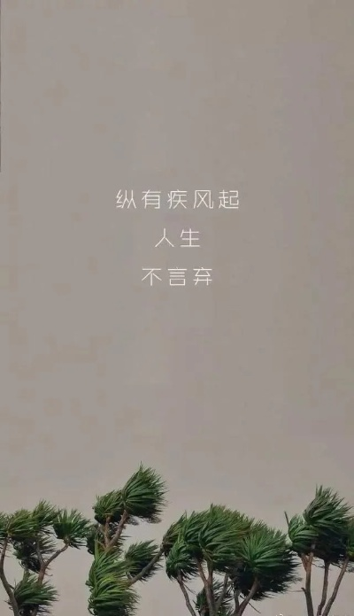 简约壁纸与励志语录，激发正能量的灵感之源