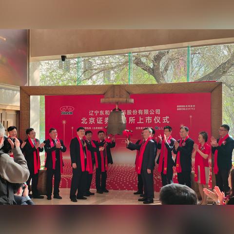 电熔镁砂行情深度解析，洞悉市场趋势，把握行业机遇