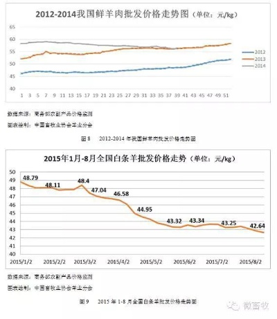 羊羔市场行情分析，价格走势、影响因素大探讨！