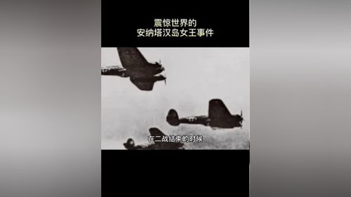 今日奇闻异事揭秘，最新视频报道与新鲜资讯速递