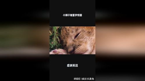 不断噩梦不断醒的小短文，噩梦不断的图片 