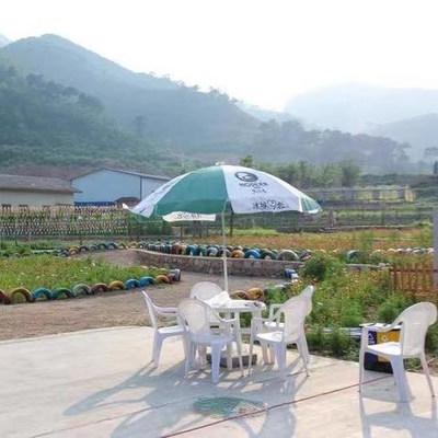 秦皇岛乐岛之旅，超详细旅游攻略，畅游奇幻海洋世界