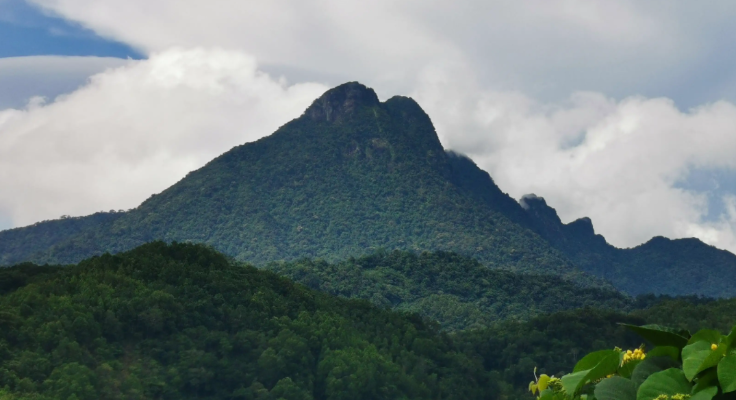 梅州五指山登顶攻略，征服自然，尽享山水之美！