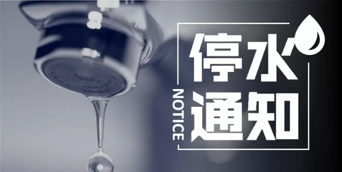 轻徙鸟举