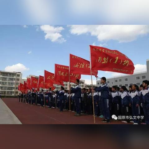 宁夏直播回放，解读地方发展与民生变迁新篇章