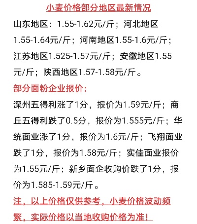 齿白唇红