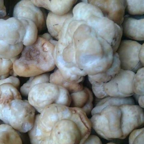 anshiwulou